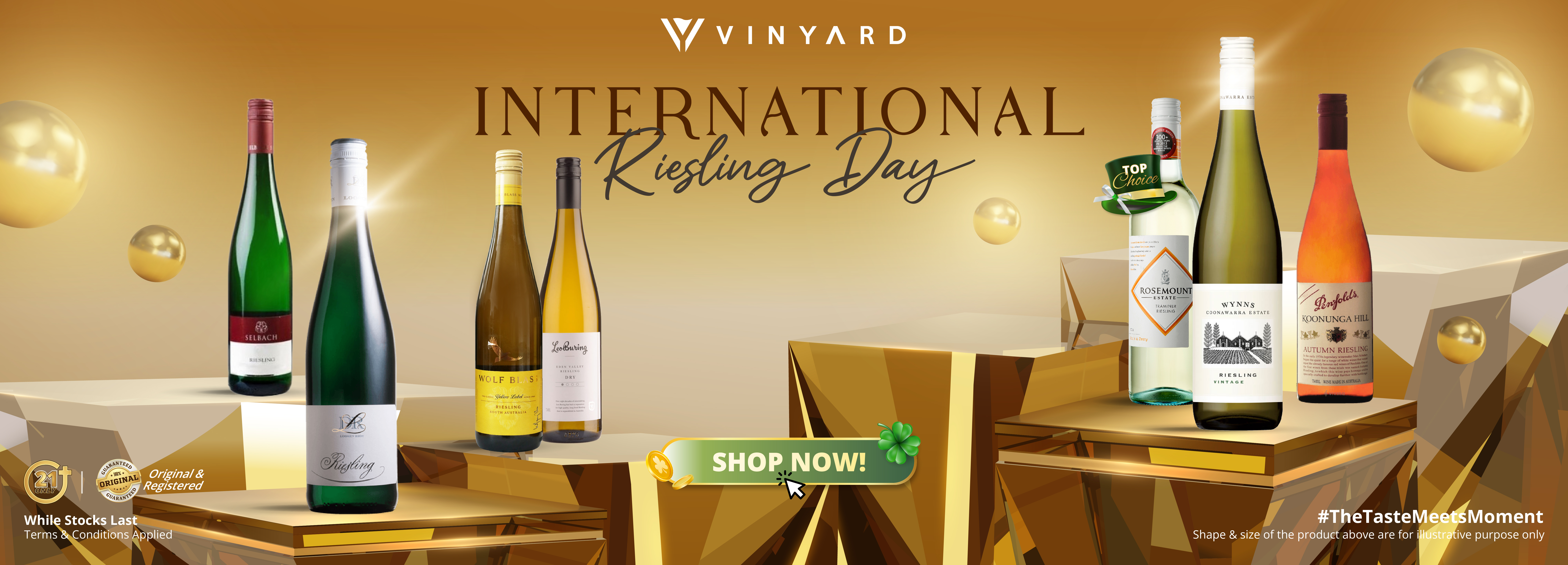 EXO123 x Vinyard 